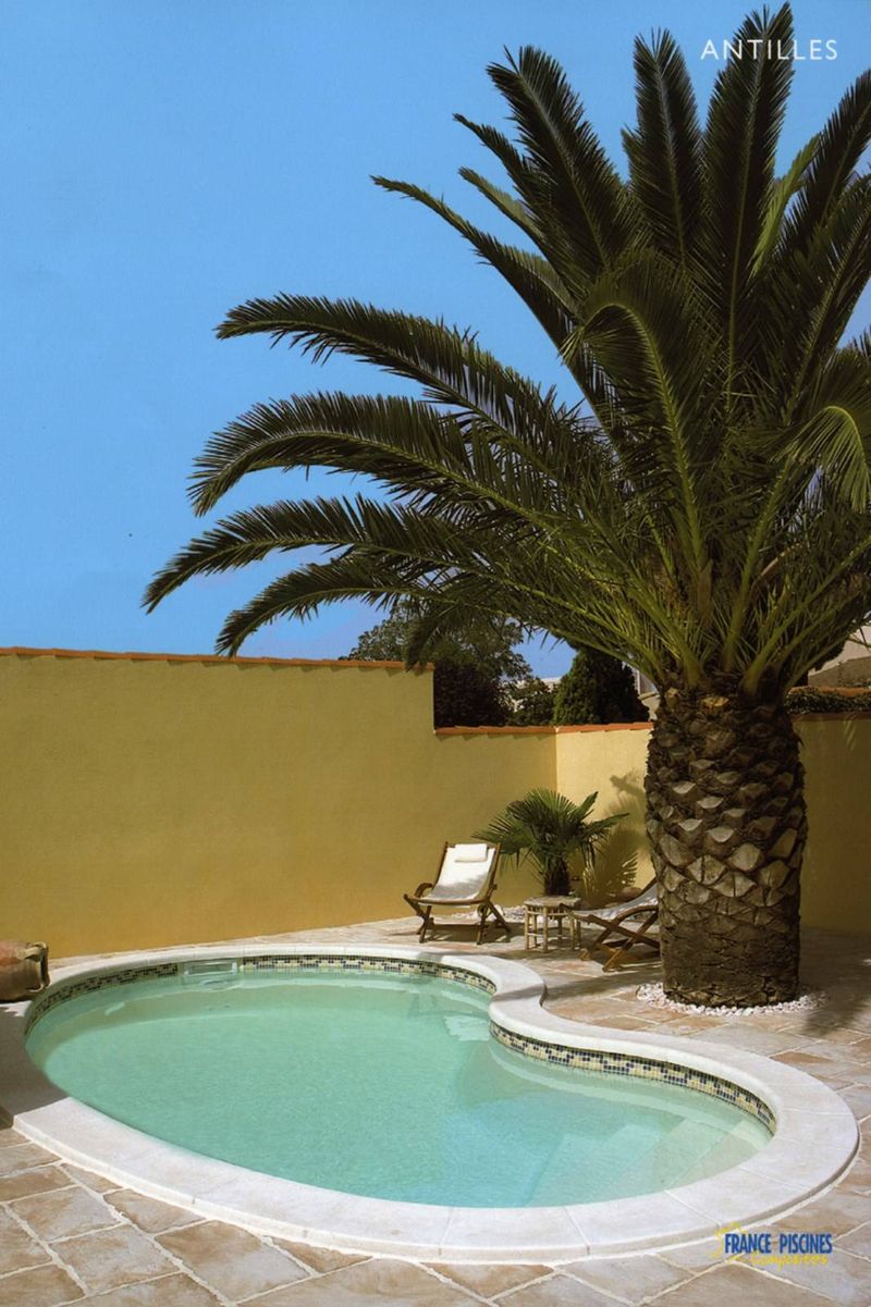 Piscine coque polyester 6X3 forme haricot modèle Antilles