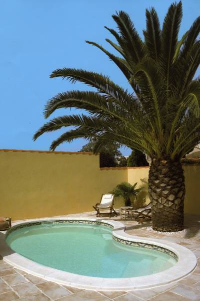 Piscine forme haricot 6X3 avec installation à Port Saint Louis du Rhône